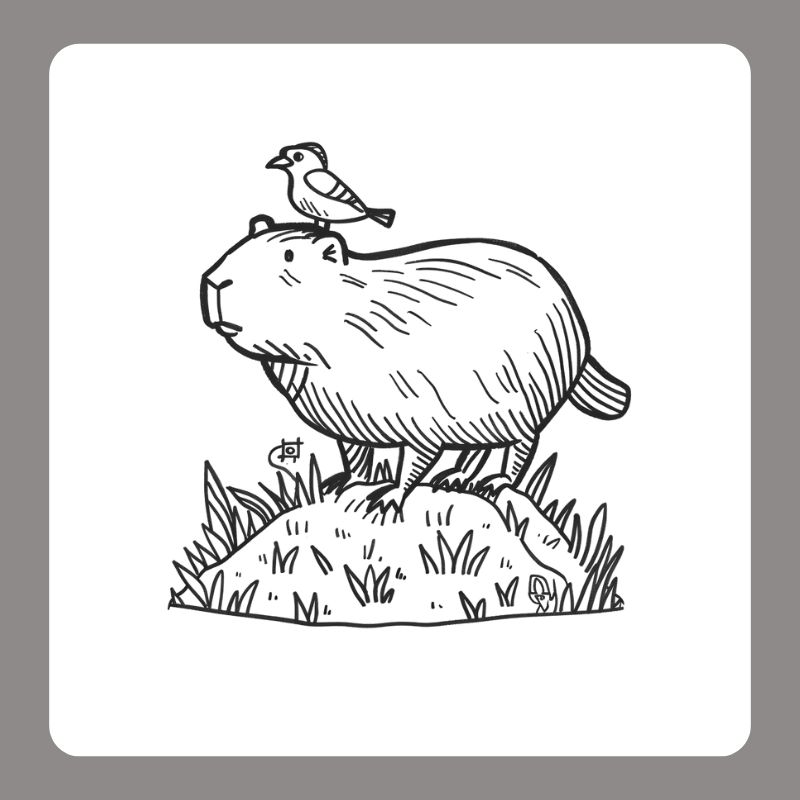 hình tô màu capybara
