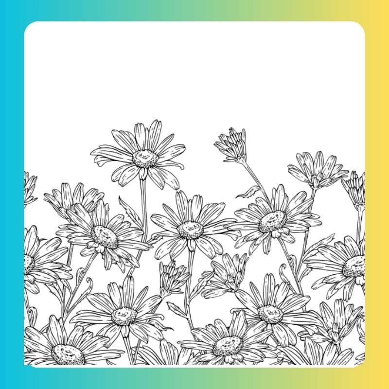 hoa đẹp tô màu bông hoa