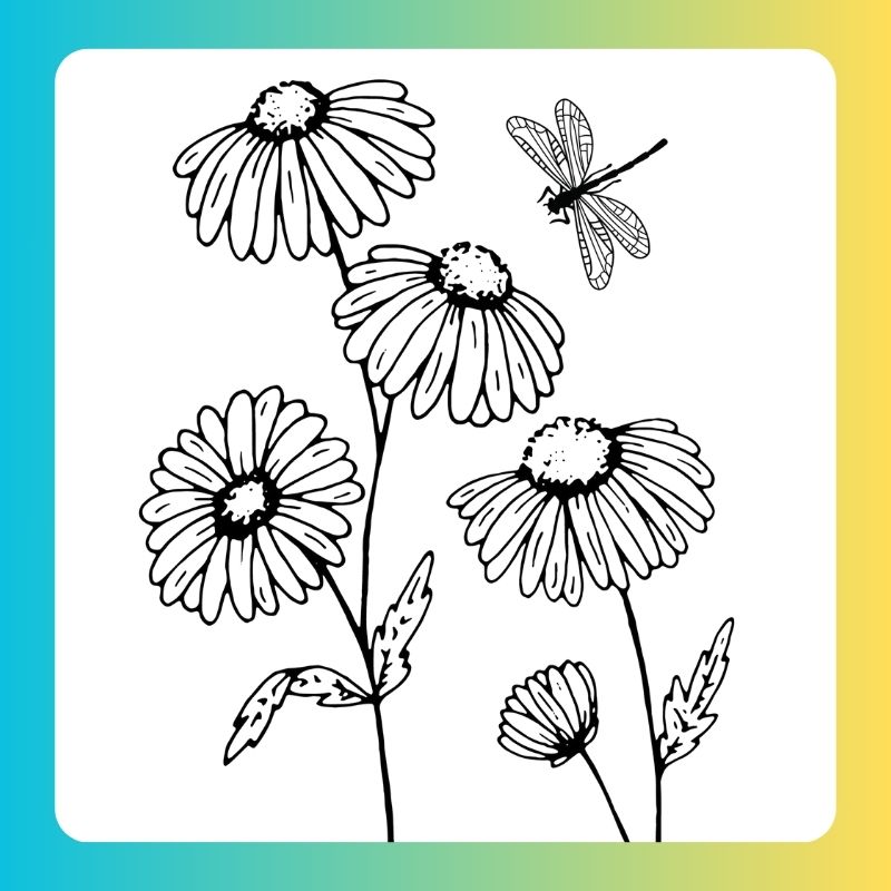 tô màu bông hoa (2)