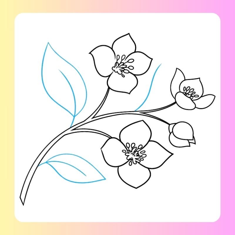 to màu bông hoa 5 cánh