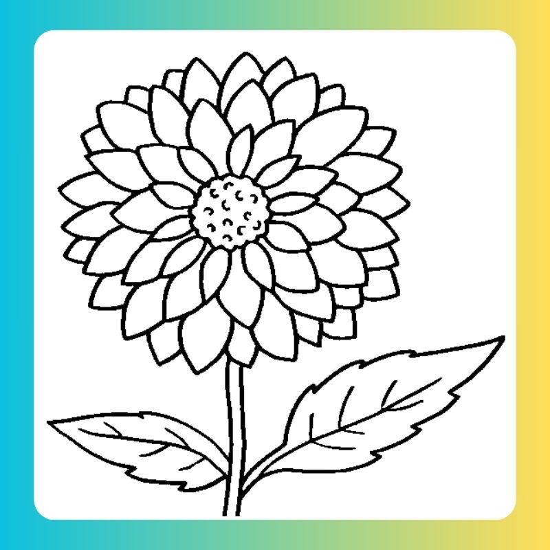 tô màu bông hoa (7)