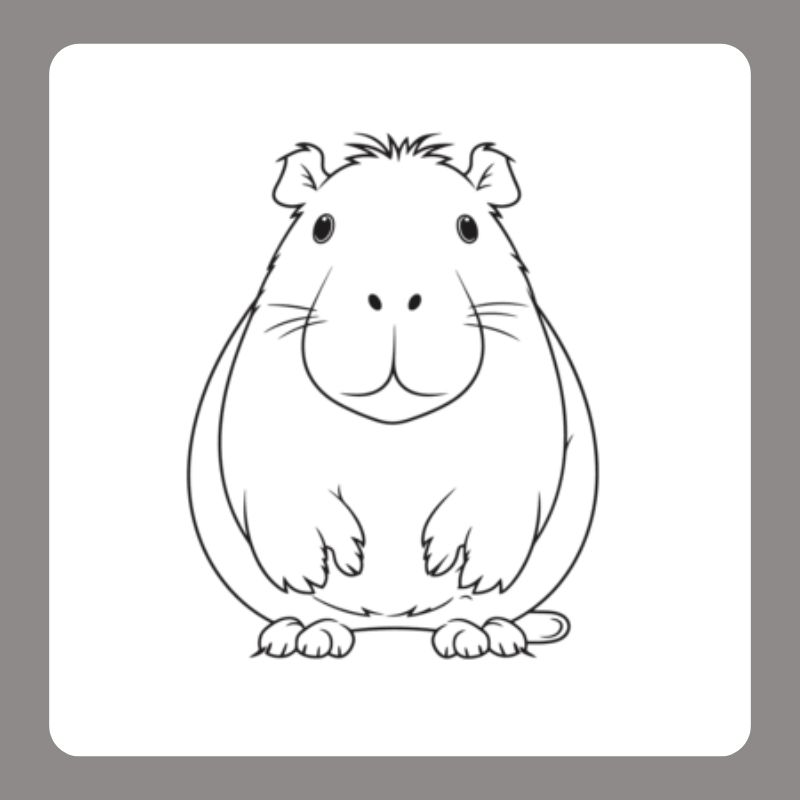tô màu capybara (14)