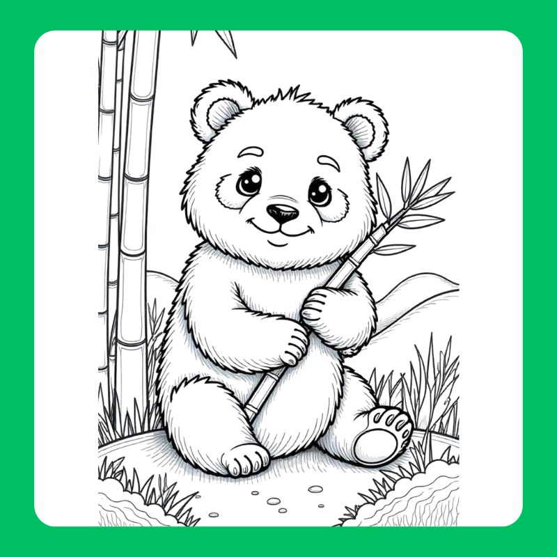 tô màu con gấu trúc