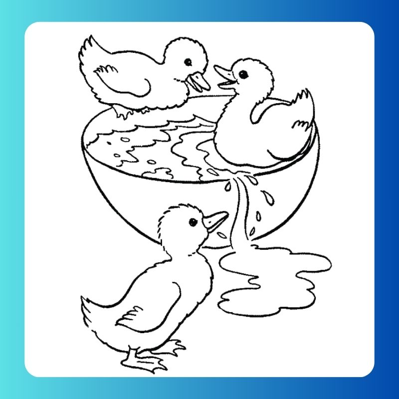 tô màu con vịt (9)