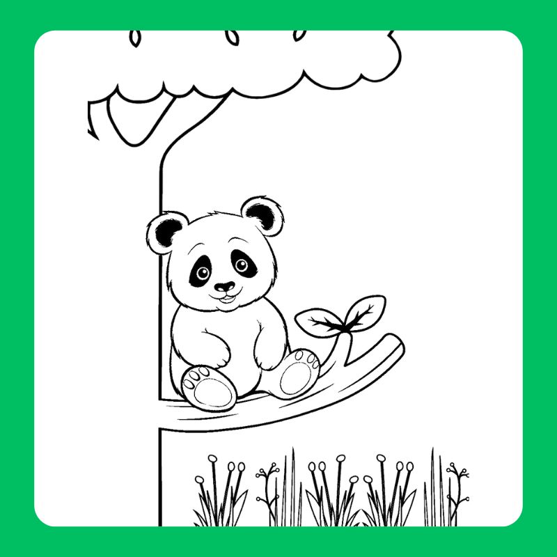 tô màu gấu trúc (10)