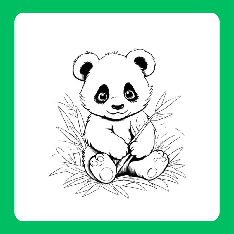tô màu gấu trúc (12)