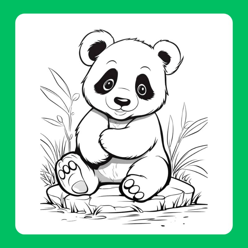 tô màu gấu trúc (13)
