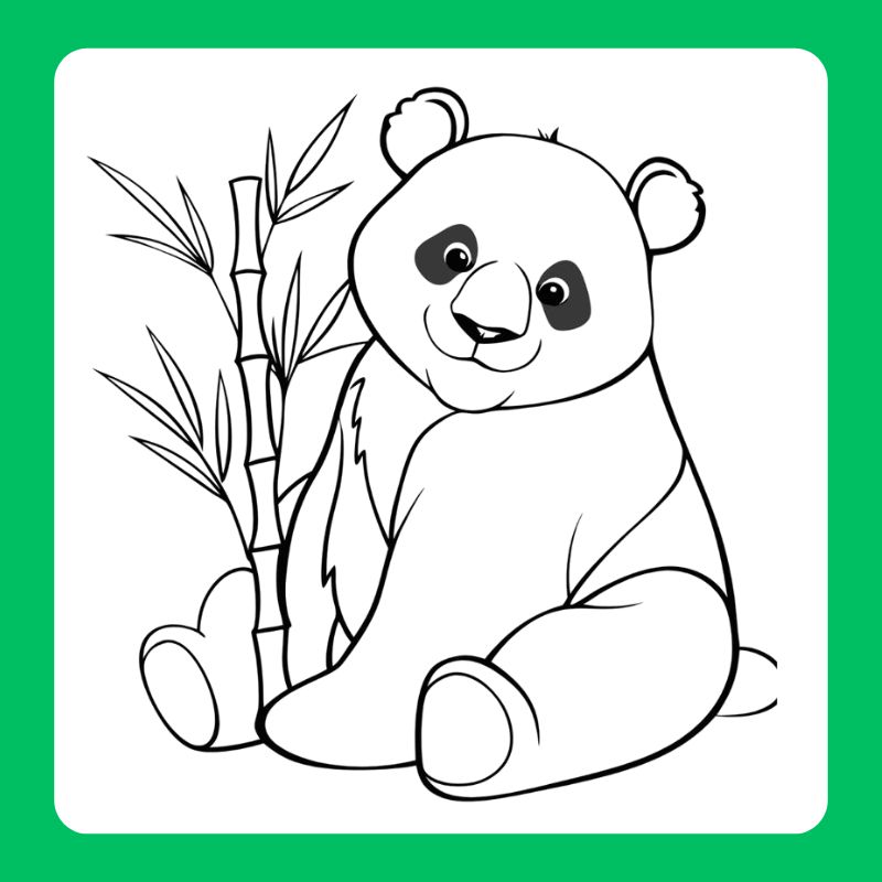 tô màu gấu trúc (16)