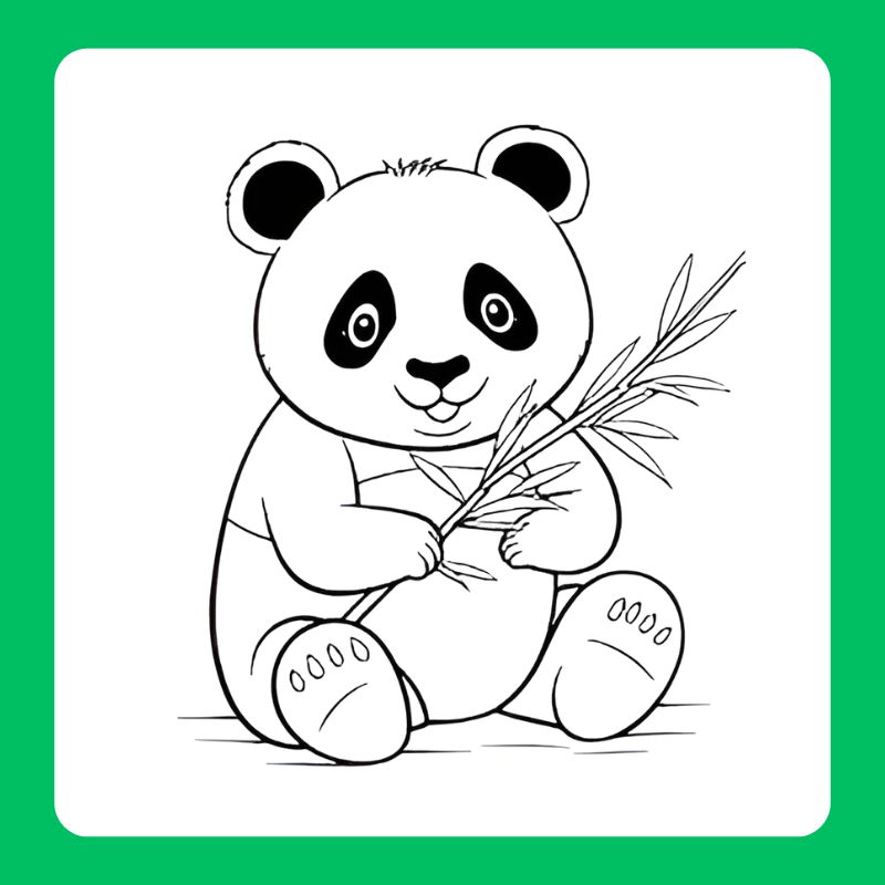 tô màu gấu trúc (17)
