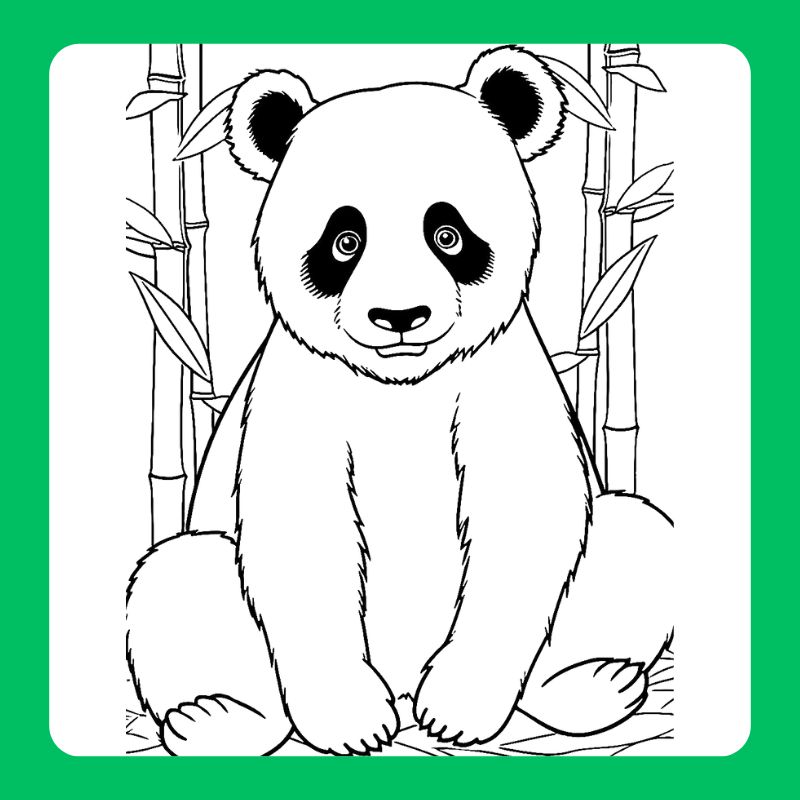 tô màu gấu trúc (19)