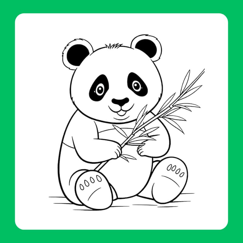 tô màu gấu trúc (3)