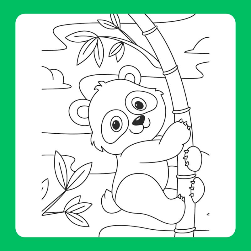 tô màu gấu trúc (5)