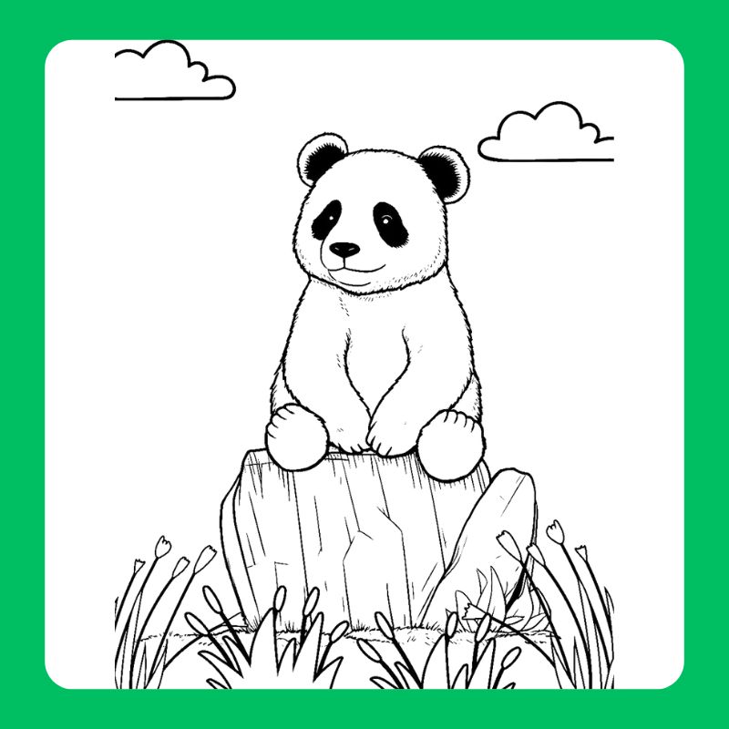 tô màu gấu trúc (9)