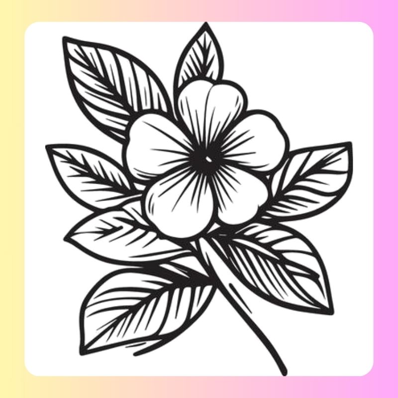 tranh tô màu bông hoa 5 cánh (11)