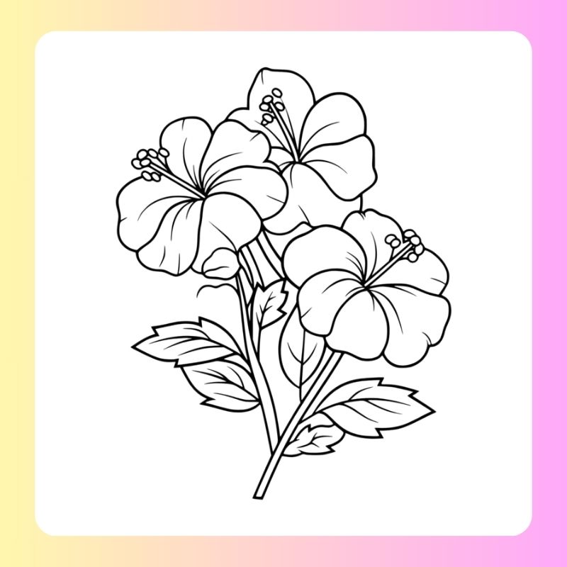 tranh tô màu bông hoa 5 cánh (16)