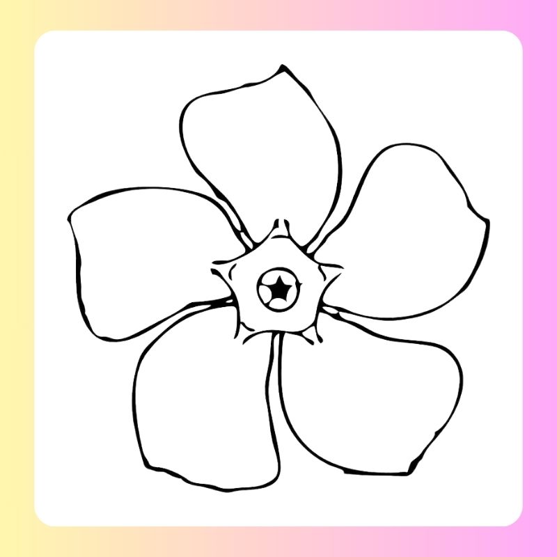 tranh tô màu bông hoa 5 cánh (17)