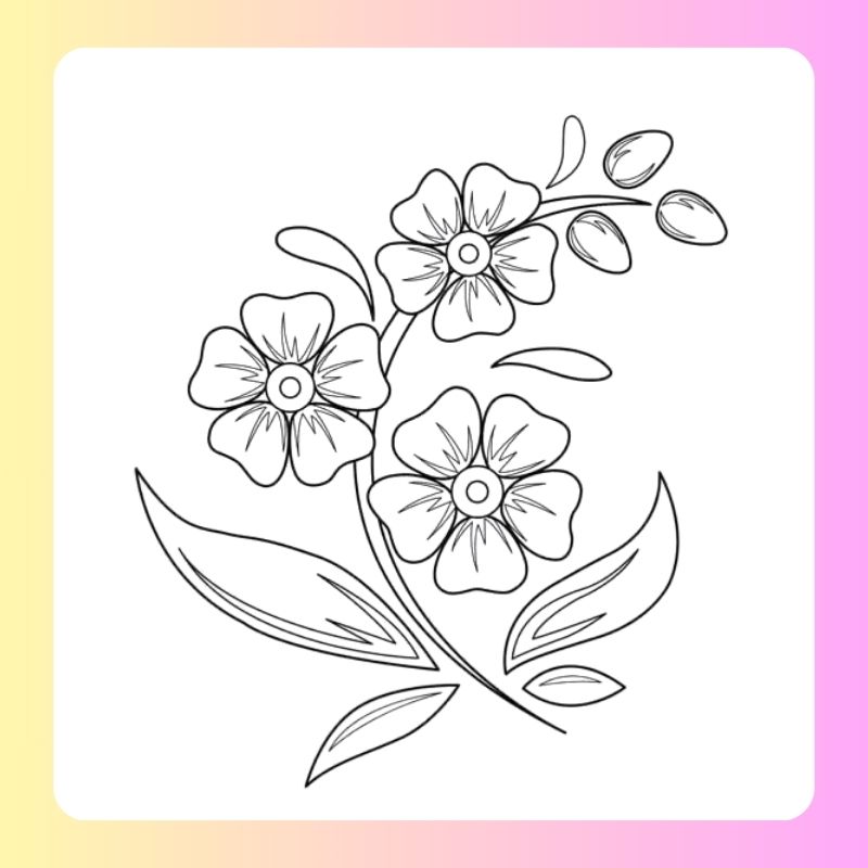 tranh tô màu bông hoa 5 cánh (18)