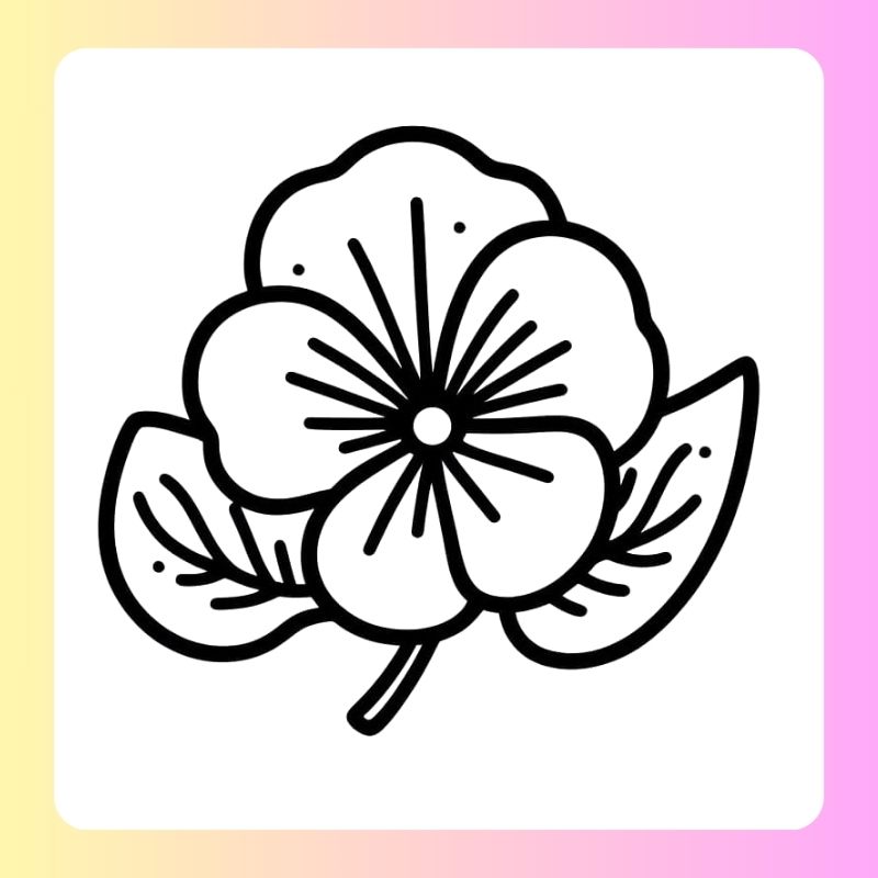 tranh tô màu bông hoa 5 cánh (20)