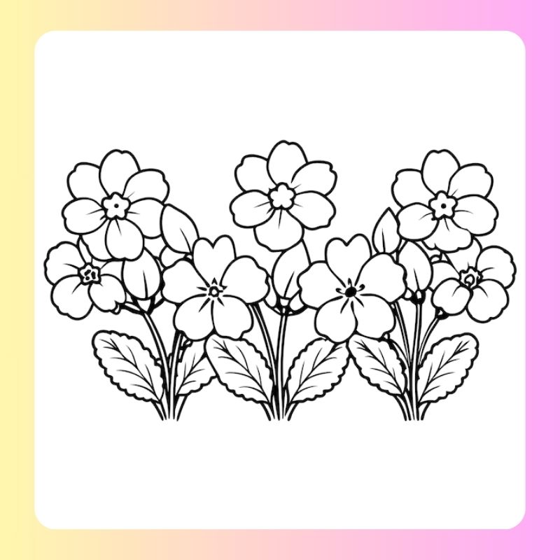 tranh tô màu bông hoa 5 cánh (21)