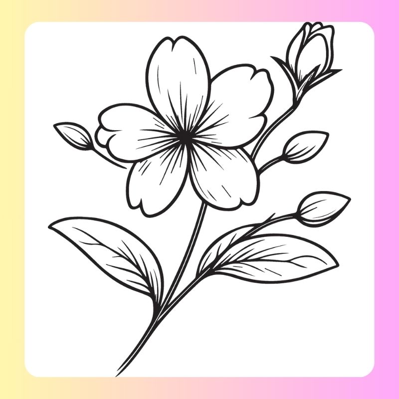 tranh tô màu bông hoa 5 cánh (23)