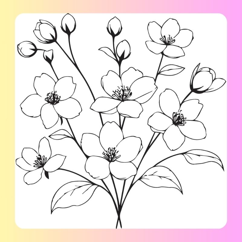 tranh tô màu bông hoa 5 cánh (24)