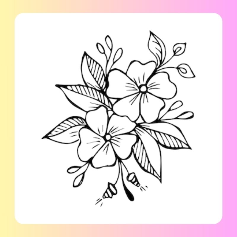 tranh tô màu bông hoa 5 cánh (27)