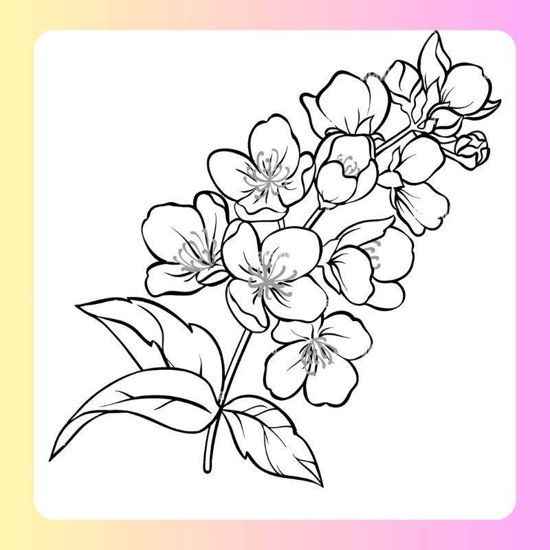 tranh tô màu bông hoa 5 cánh (28)