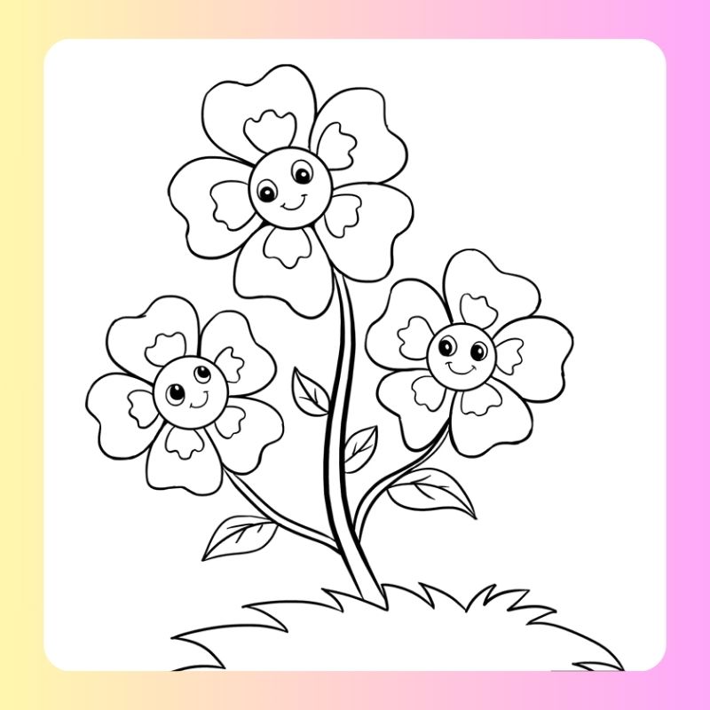 tranh tô màu bông hoa 5 cánh (8)