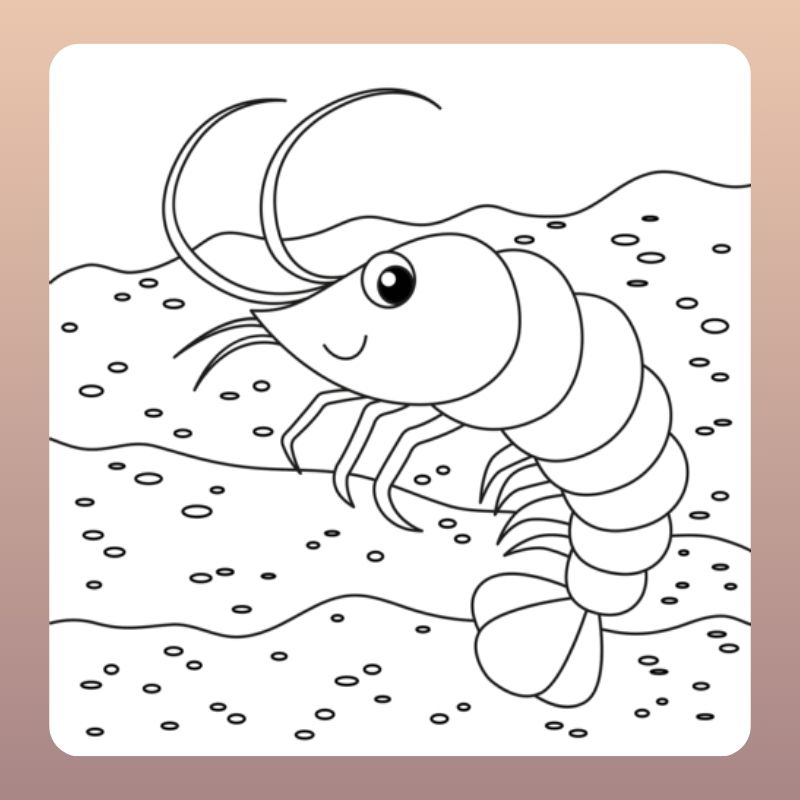 tranh tô màu cho bé hình con tôm (9)