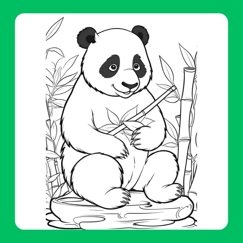 tranh tô màu con gấu trúc