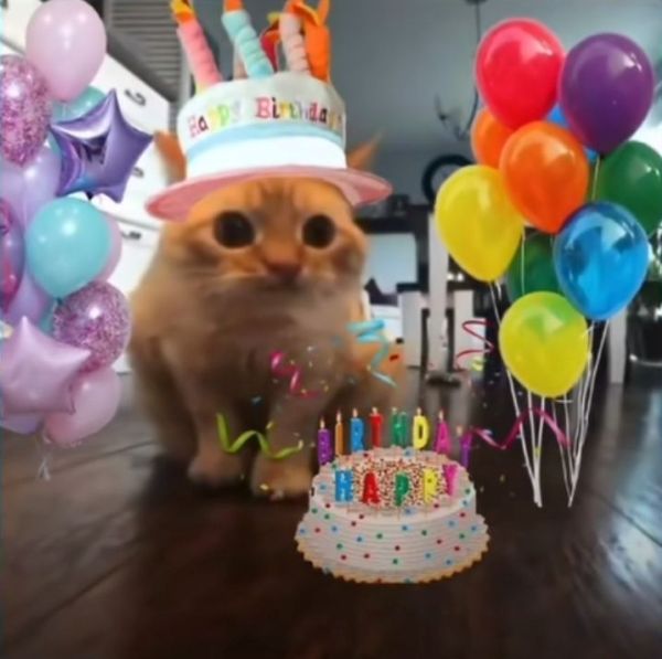 happy birthday meme (1)