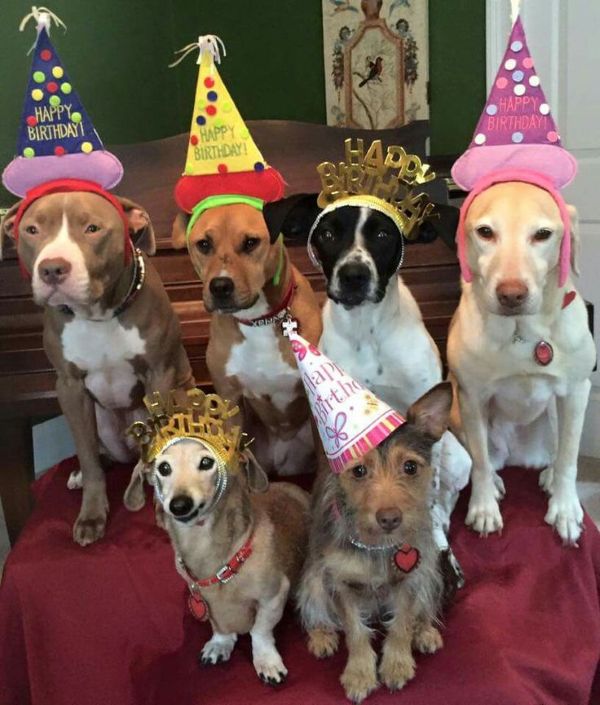 happy birthday meme (10)