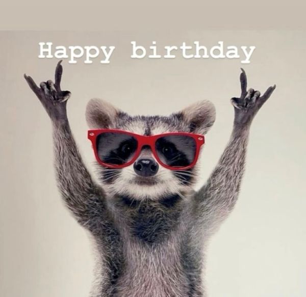 happy birthday meme (15)