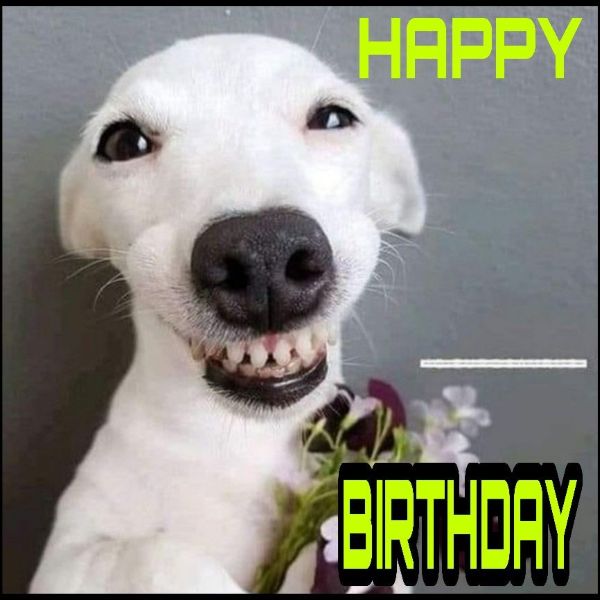 happy birthday meme (16)