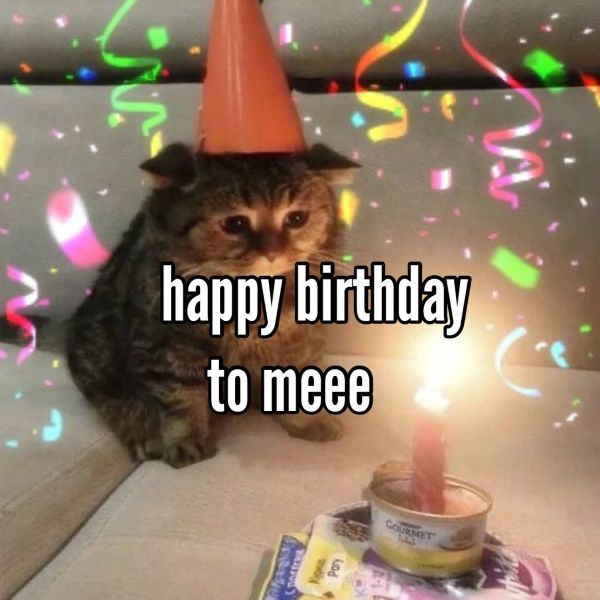happy birthday meme (22)