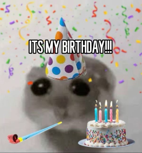 happy birthday meme (23)