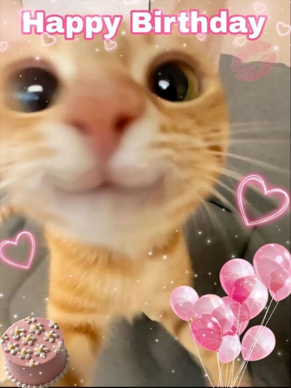 happy birthday meme (25)