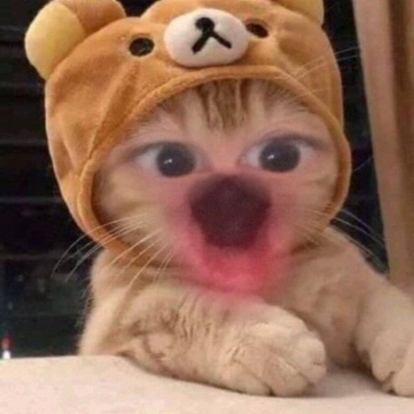 meme bất ngờ (10)