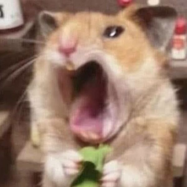 meme bất ngờ (13)