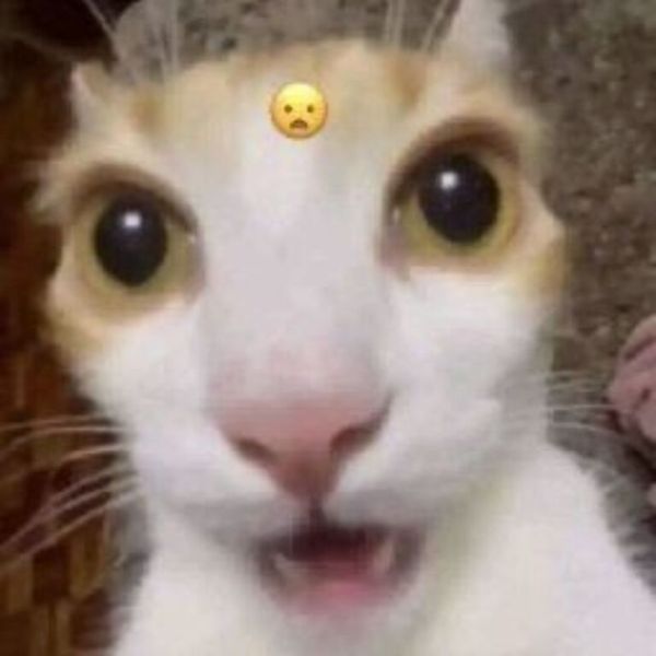 meme bất ngờ (2)