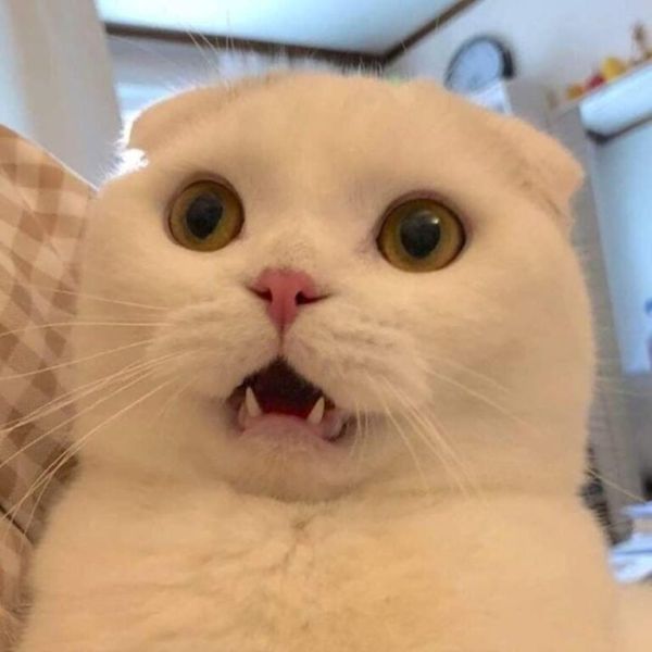 meme bất ngờ (30)