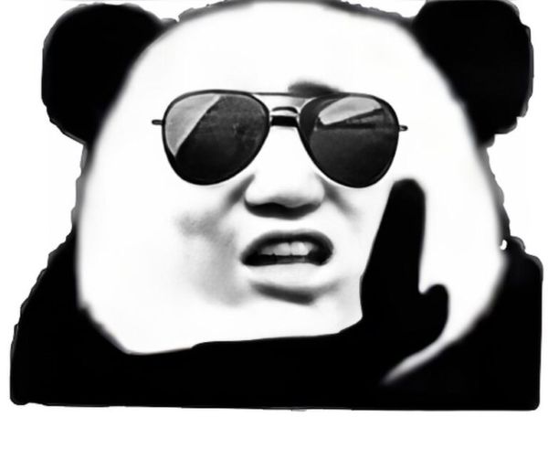 meme gấu trúc bựa (11)