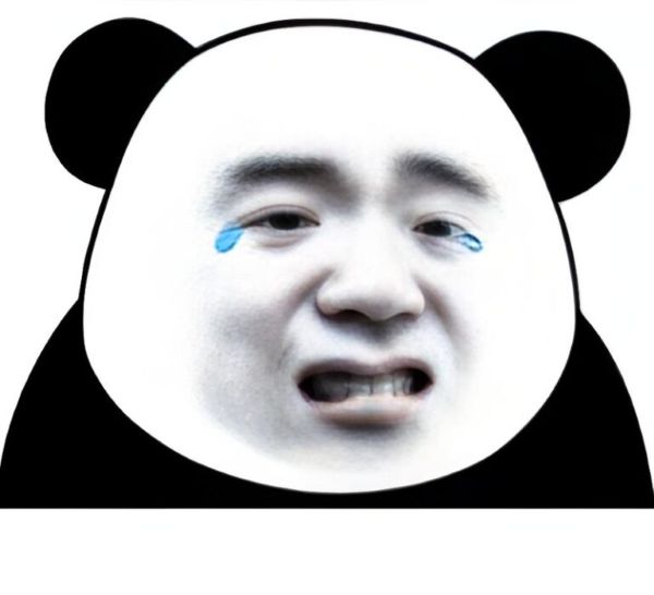meme gấu trúc bựa (16)