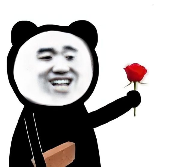 meme gấu trúc bựa (20)