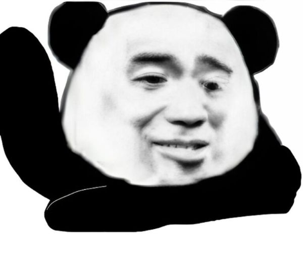 meme gấu trúc bựa (21)