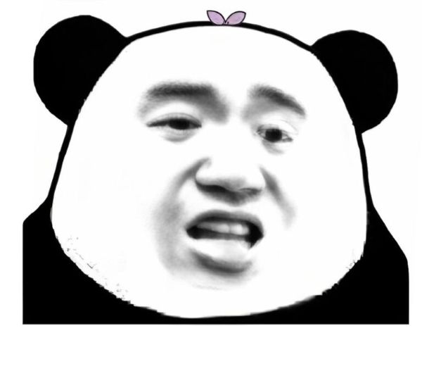 meme gấu trúc bựa (23)