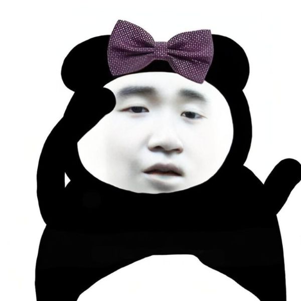 meme gấu trúc bựa (26)