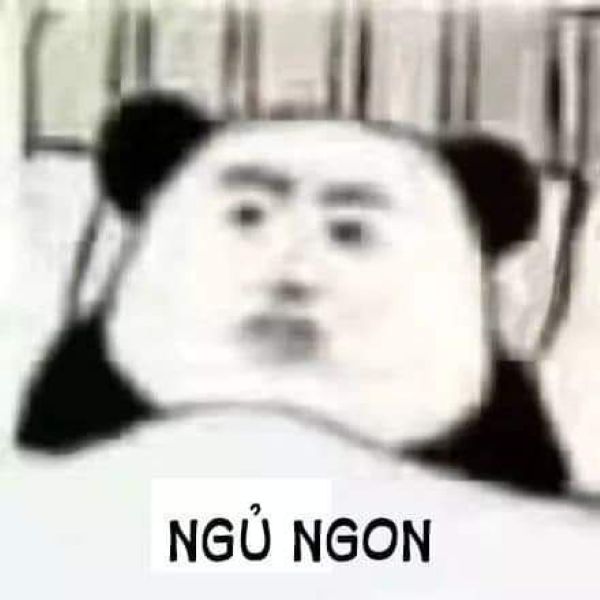 meme gấu trúc đắp chăn​