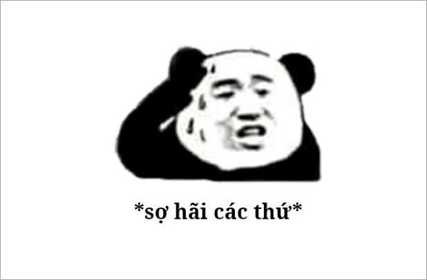 meme gấu trúc sợ hãi các thứ​