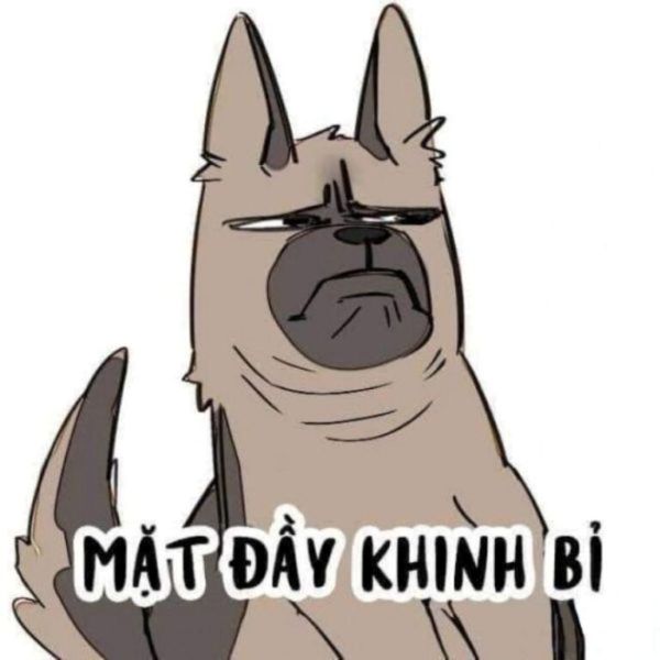 meme khinh bỉ (16)